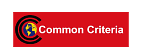 Common Criteria icon
